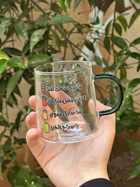 كاسة ديلي حجم 320 ml